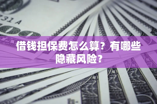 武汉借钱担保费怎么算？有哪些隐藏风险？