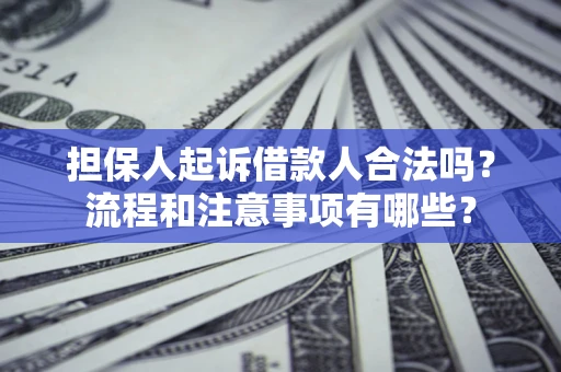 武汉担保人起诉借款人合法吗？流程和注意事项有哪些？