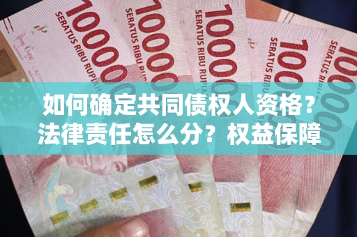 武汉如何确定共同债权人资格？法律责任怎么分？权益保障技巧揭秘！