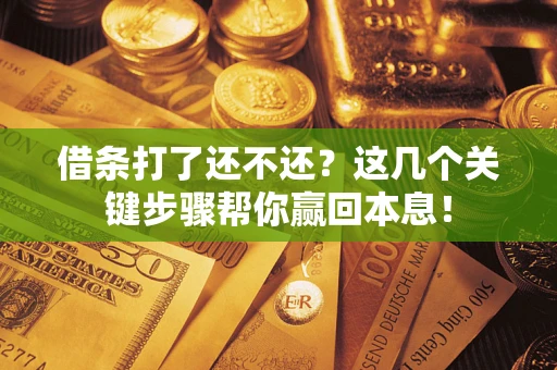 武汉借条打了还不还？这几个关键步骤帮你赢回本息！