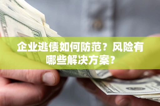 武汉企业逃债如何防范？风险有哪些解决方案？