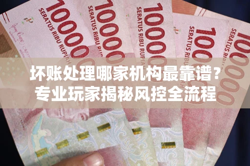 武汉坏账处理哪家机构最靠谱？专业玩家揭秘风控全流程
