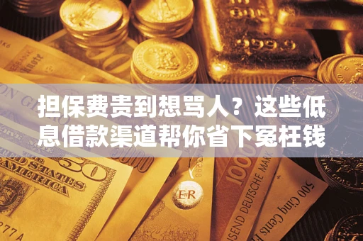 武汉担保费贵到想骂人？这些低息借款渠道帮你省下冤枉钱