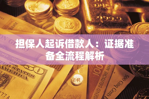武汉担保人起诉借款人：证据准备全流程解析