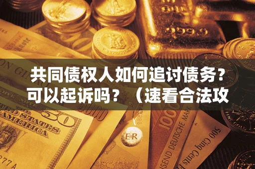 武汉共同债权人如何追讨债务？可以起诉吗？（速看合法攻略）