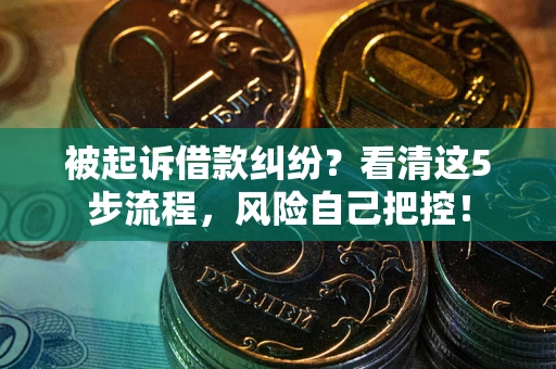 武汉被起诉借款纠纷？看清这5步流程，风险自己把控！