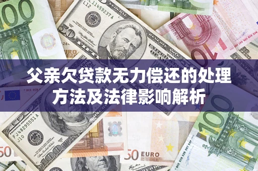 武汉父亲欠贷款无力偿还的处理方法及法律影响解析