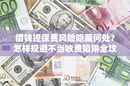 武汉借钱担保费风险隐藏何处？怎样规避不当收费陷阱全攻略！