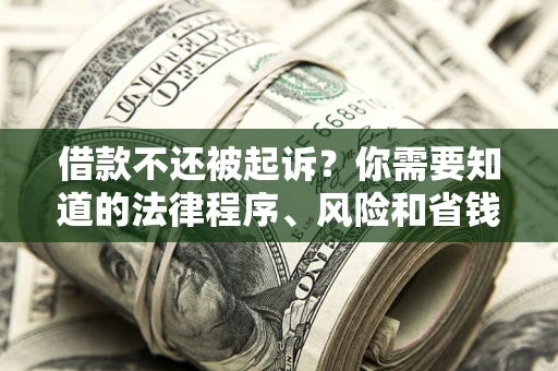 武汉借款不还被起诉？你需要知道的法律程序、风险和省钱技巧